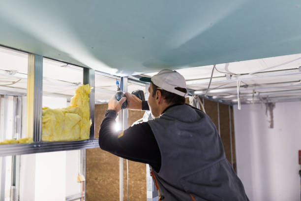 Best Commercial Insulation in Burnet, TX