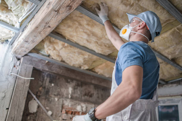 Types of Insulation We Offer in Burnet, TX